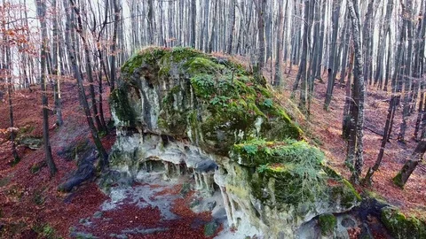 The Cave Grotto in the forest Stock Footage 121006091