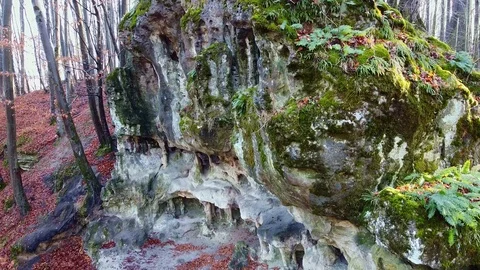 The Cave Grotto in the forest Stock Footage 121006248