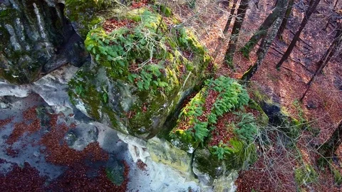 The Cave Grotto in the forest Stock Footage 121006388
