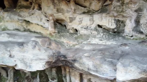The Cave Grotto in the forest Stock Footage 121006495