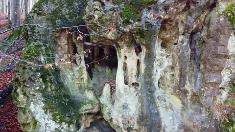 The Cave Grotto in the forest Stock Footage 121006609