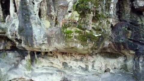 The Cave Grotto in the forest Stock Footage 121006691