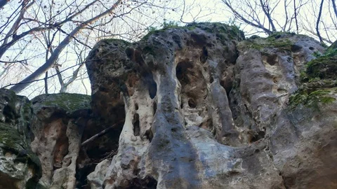 The Cave Grotto in the forest Stock Footage 121006795