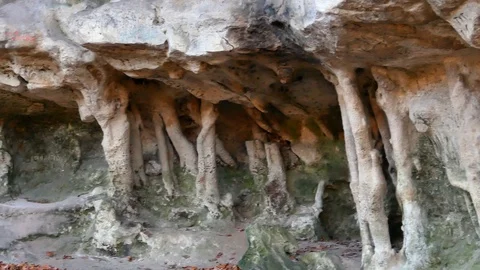The Cave Grotto in the forest Stock Footage 121006917