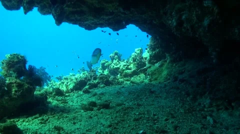Cave in Habili Claudio Vídeo Stock 33531748