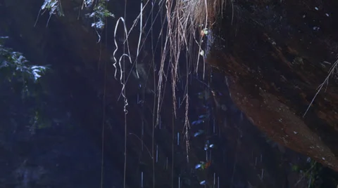 Cave with hanging grass culms and water drops Vídeo Stock 36054448