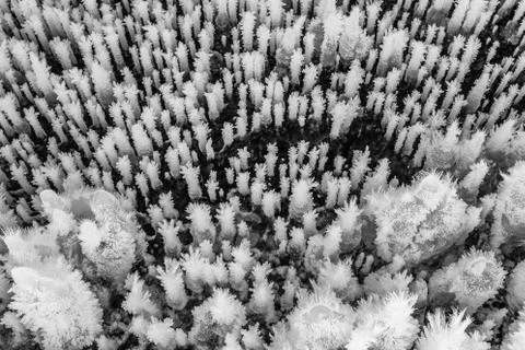 Cave Ice Formations Stock Photos