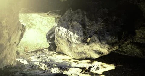 Cave interior with sunlight filtering through trees in a serene setting Stock Illustration