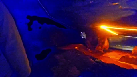 A cave with a large. Stock-Footage 282965350