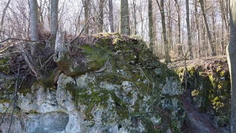 Cave monastery complex in forest Krehiv, Ukraine Stock Footage 126352837