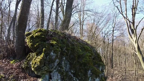 Cave monastery complex in forest Krehiv, Ukraine Stock Footage 126353075