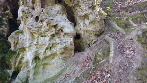 Cave monastery complex in forest Krehiv, Ukraine Stock Footage 126353637