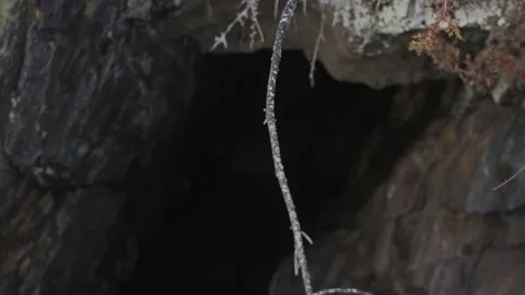 Cave near the harbor Stock Footage 183381913
