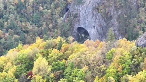 Cave Nestled in Mountain Forest Stock Footage 265808129