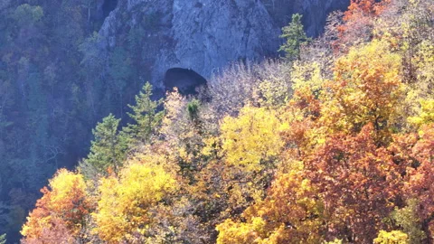 Cave Nestled in Mountain With Surrounding Trees Stock Footage 265836844