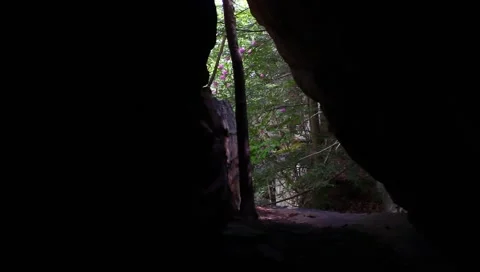 Cave opening Stock Footage 4886356