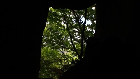 Cave opening Video stock 4886680