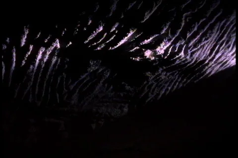 Cave paintings Video stock 86752871