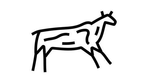 Cave paintings human evolution line icon animation Stock Footage 326134024