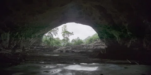 Cave people forced demobilised dream Stock Footage 141381053