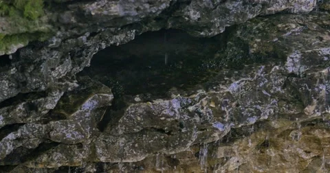 Cave Point County Park, Door County, WI Stock Footage 55808745