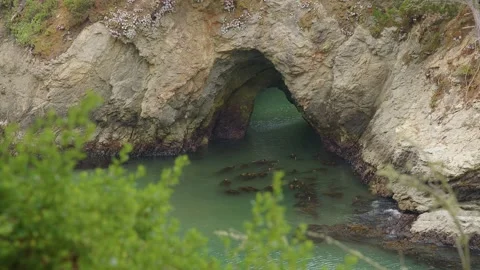 Cave at Point Lobos SP Vidéo 281876747