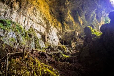 Cave in the rainforest Stock Photos