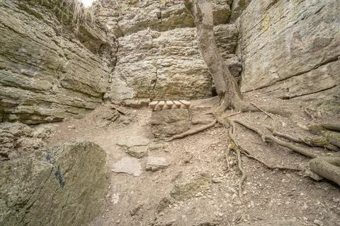 The cave in the rock with tree. View from inside. Stock Photos