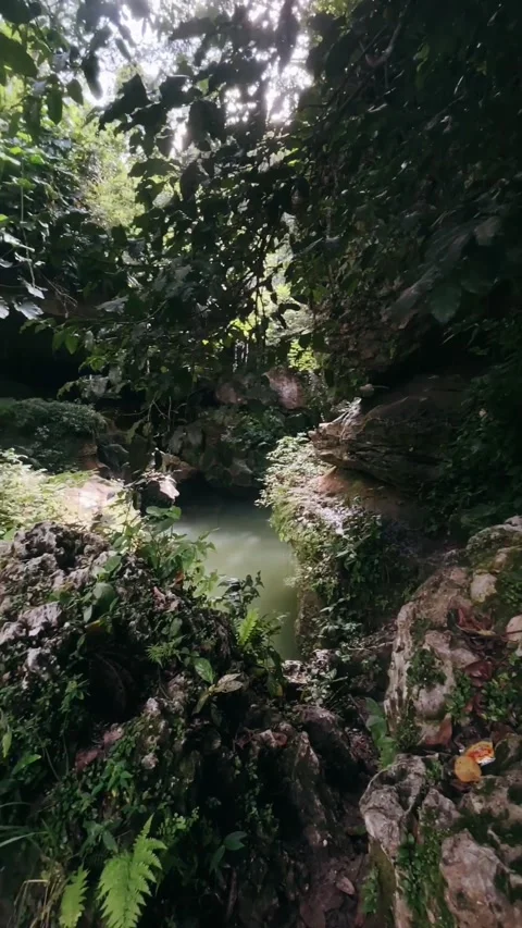 Cave, rocks, mountain, forest, canyon, water, landscape, Stock Footage 239949230