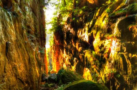 Cave roncador Stock Photos