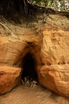Cave by the sea, in the sand with a tree root Foto stock