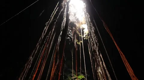 Cave skylight Stock Footage 42113398