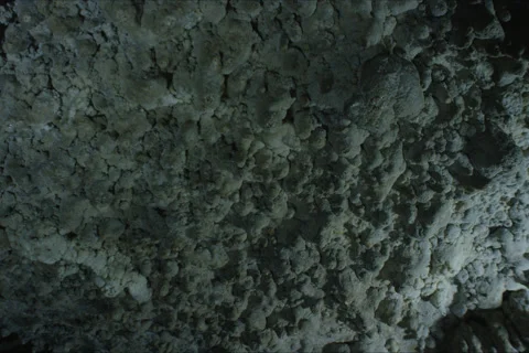 Cave Stalactites And Forest Landscape In Cuenca, Spain Stock Footage 231995262