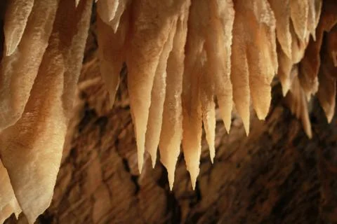 Cave stalactities 写真素材
