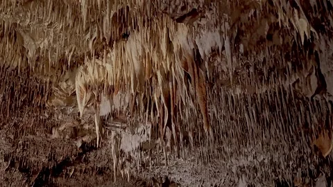 Cave Stalagmites Stock Footage 295385447