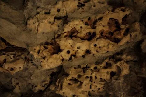 Cave stone, background texture Stock Photos