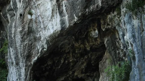 Cave with Swallow or Swift Cave Birds, Dinaric Alps, Balkans Vídeo Stock 234064572