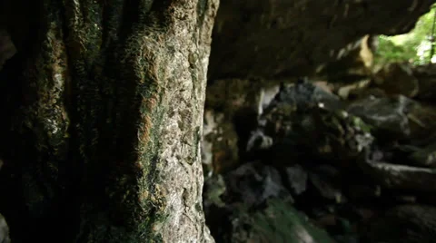 Cave Visiting Stock Footage 36567686