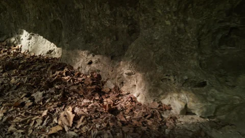 Cave Wall Closeup Stock Footage 251204187