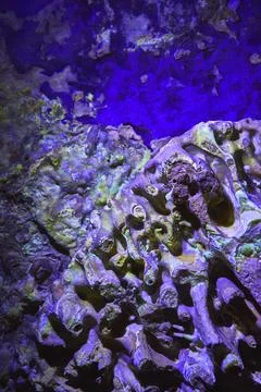 Cave Wall Mineral Formations Under Black Light in Cowboy Canyon Las Vegas Stock Photos