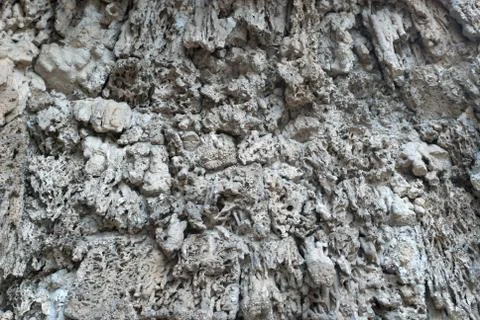Cave walls texture Stock Photos