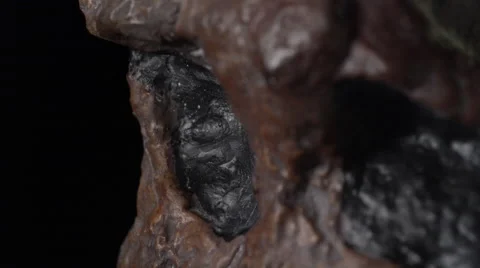 Caveman Skull - Australopithecus and Evolution Stock Footage 59508185