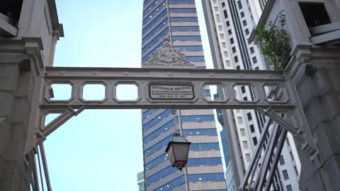 Cavenagh Bridge Stock Footage 244303081