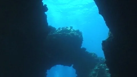 Cavern diving lanai maui Stock Footage 106689203