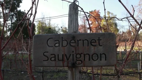 Cavernet Sauvignon sign Stock Footage 77049695