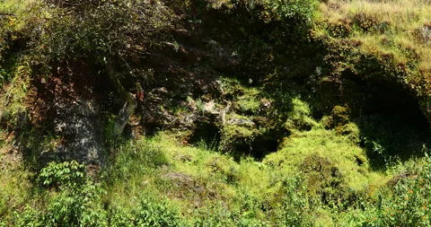 Caves in India Stock Footage 291808619