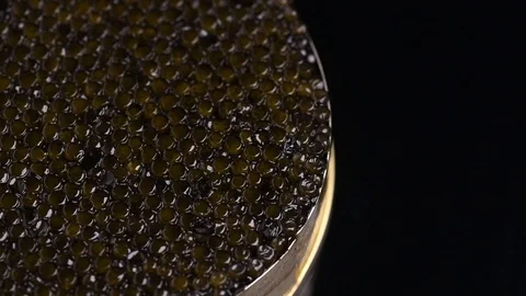 Caviar closeup. Black caviar rotated on black. Natural sturgeon caviar Stock Footage 101080298
