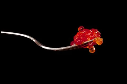 Caviar on fork isolated. Stock Photos