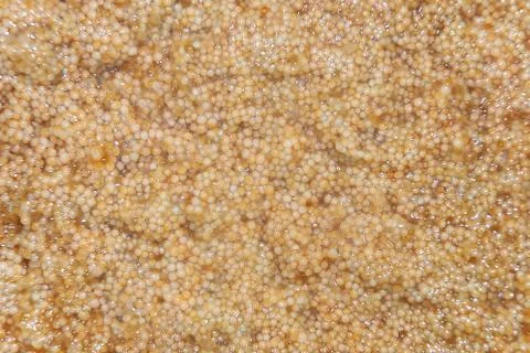 Caviar Stock Photos