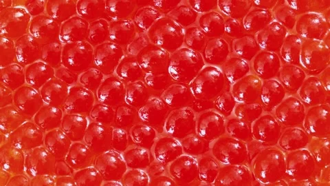 Caviar red fish salmon 스톡 동영상 166105736